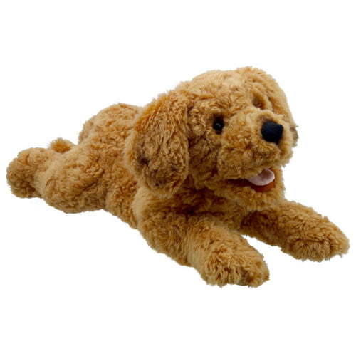 The Puppet Company - Playful Puppies - Cockapoo Hand Puppet