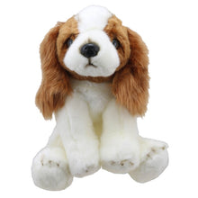 Load image into Gallery viewer, Wilberry Favourites - King Charles Spaniel Soft Toy