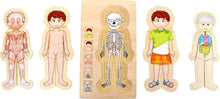 Load image into Gallery viewer, Boy&#39;s Human Body Anatomy Layer Puzzle