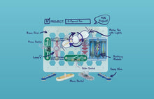 Load image into Gallery viewer, Elenco Snap Circuits Beginner Electronics Kit SCB-20