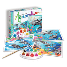Load image into Gallery viewer, SentoSphere Aquarellum - Dolphins - Arts &amp;  Crafts - Painting by Numbers Set - Large