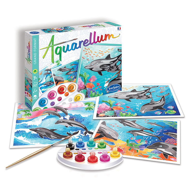 SentoSphere Aquarellum - Dolphins - Arts &  Crafts - Painting by Numbers Set - Large