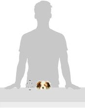 Load image into Gallery viewer, The Puppet Company - Full-Bodied - Brown &amp; White Dog - Hand Puppet &amp; Soft Toy
