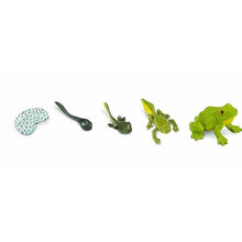 Load image into Gallery viewer, Safari Life Cycle of a Frog