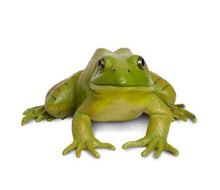 Load image into Gallery viewer, Safari Ltd American Bullfrog Miniature
