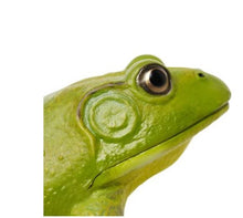 Load image into Gallery viewer, Safari Ltd American Bullfrog Miniature