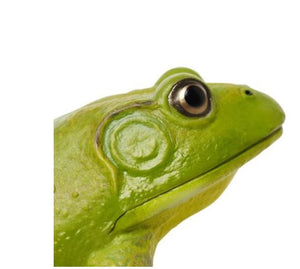 Safari Ltd American Bullfrog Miniature