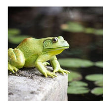Load image into Gallery viewer, Safari Ltd American Bullfrog Miniature