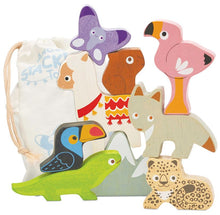 Load image into Gallery viewer, Le Toy Van Andes Stacking Tower &amp; Bag