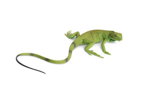 Safari Ltd Baby Iguana Miniature
