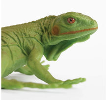 Load image into Gallery viewer, Safari Ltd Baby Iguana Miniature