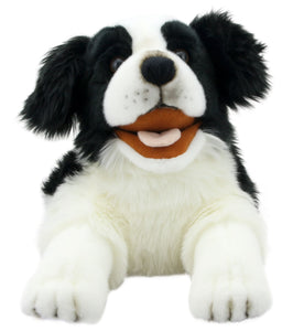 The Puppet Company - Playful Puppies - Border Collie Hand Puppet