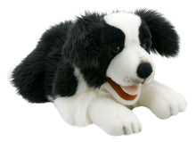 Load image into Gallery viewer, The Puppet Company - Playful Puppies - Border Collie Hand Puppet