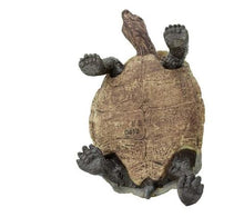 Load image into Gallery viewer, Safari Ltd Desert Tortoise
