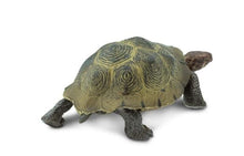 Load image into Gallery viewer, Safari Ltd Desert Tortoise