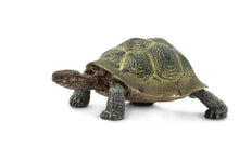 Load image into Gallery viewer, Safari Ltd Desert Tortoise