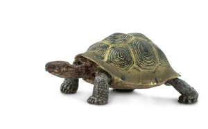 Safari Ltd Desert Tortoise