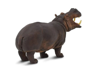 Safari Ltd Hippopotamus