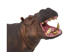Load image into Gallery viewer, Safari Ltd Hippopotamus
