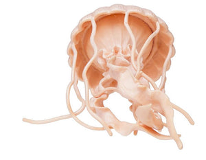 Safari Ltd Jellyfish Miniature