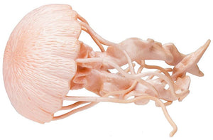 Safari Ltd Jellyfish Miniature