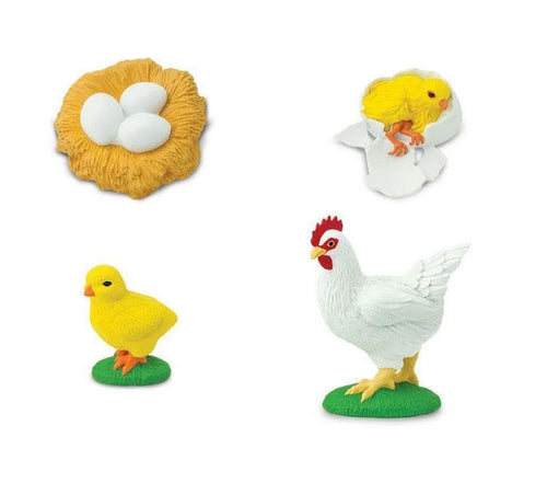 Safari Ltd Life Cycle of a Chicken