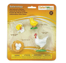 Load image into Gallery viewer, Safari Ltd Life Cycle of a Chicken