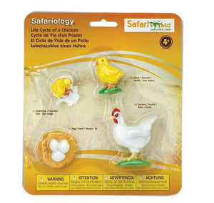 Safari Ltd Life Cycle of a Chicken