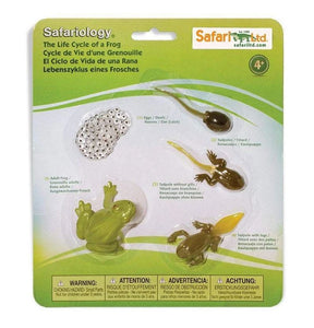 Safari Life Cycle of a Frog