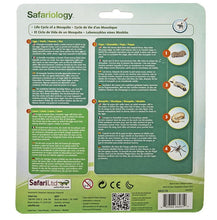 Load image into Gallery viewer, Safari Ltd Life Cycle Of A Mosquito