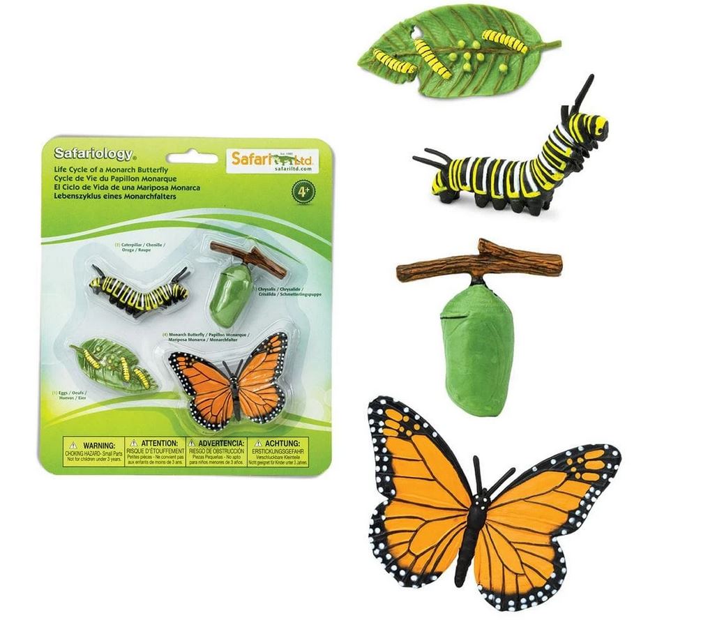 Safari Life Cycle of a Monarch Butterfly