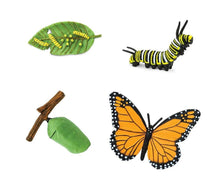 Load image into Gallery viewer, Safari Life Cycle of a Monarch Butterfly