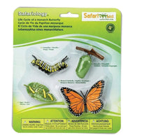 Load image into Gallery viewer, Safari Life Cycle of a Monarch Butterfly