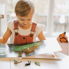 Load image into Gallery viewer, Safari Life Cycle of a Monarch Butterfly