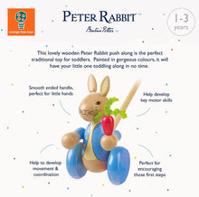 Load image into Gallery viewer, Orange Tree Toys Peter Rabbit Push Along (Boxed)