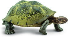 Load image into Gallery viewer, Safari Ltd Desert Tortoise