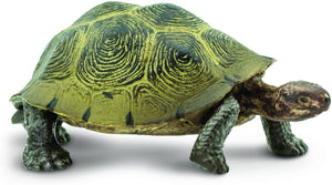 Safari Ltd Desert Tortoise