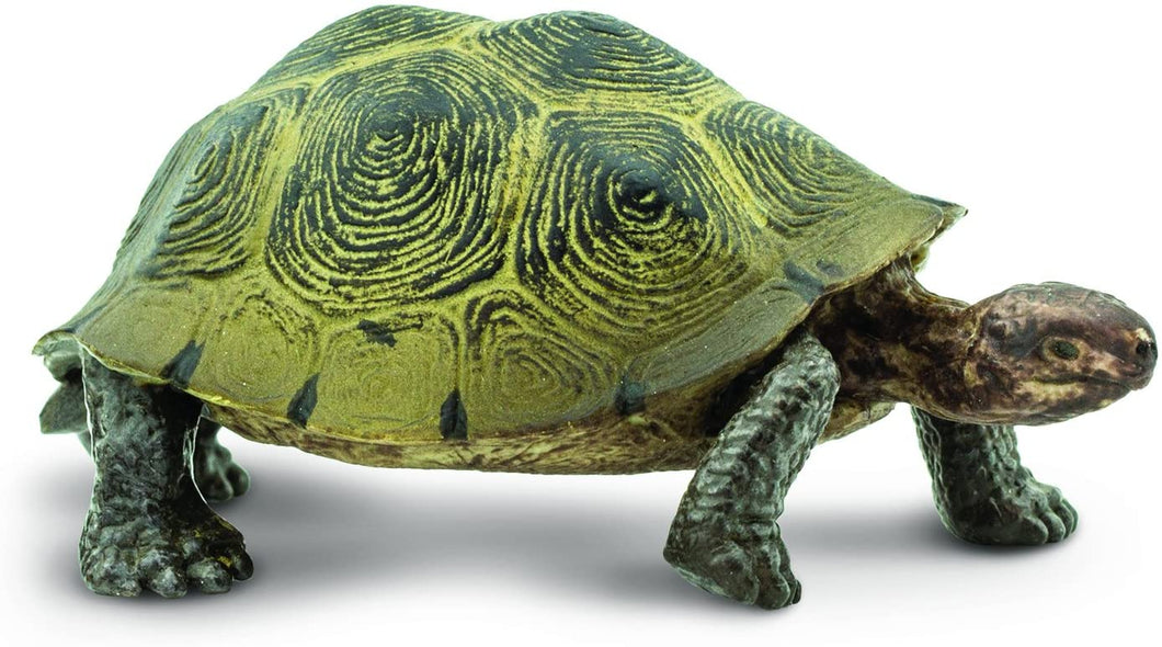 Safari Ltd Desert Tortoise