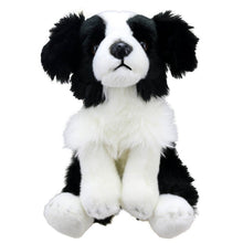 Load image into Gallery viewer, Wilberry Favourites - Border Collie Soft Toy